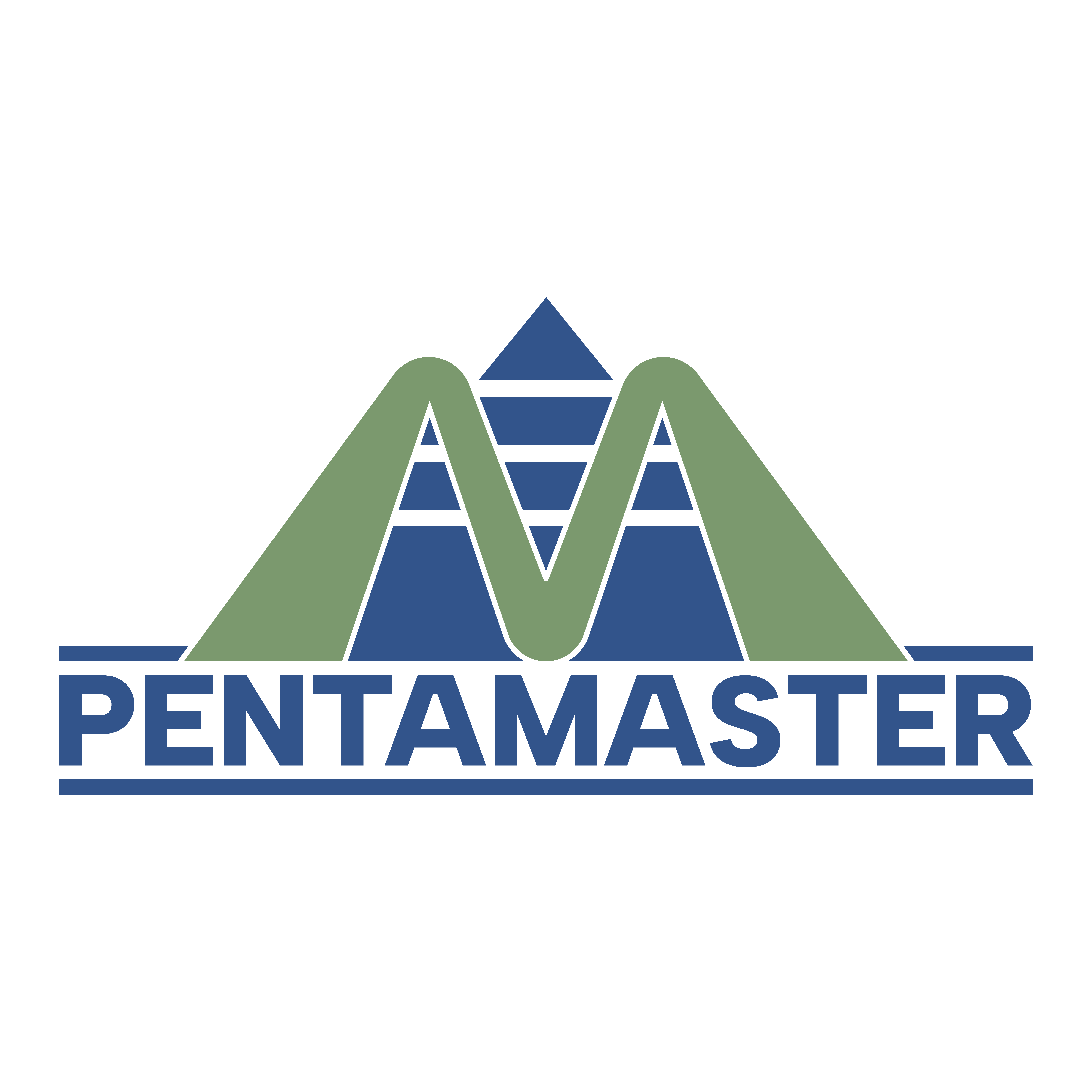 Pentamaster Automation (Germany) GmbH Logo Pentamaster Automation (Germany) GmbH