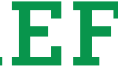 Logo der Schaeffler Technologies GmbH & Co KG
