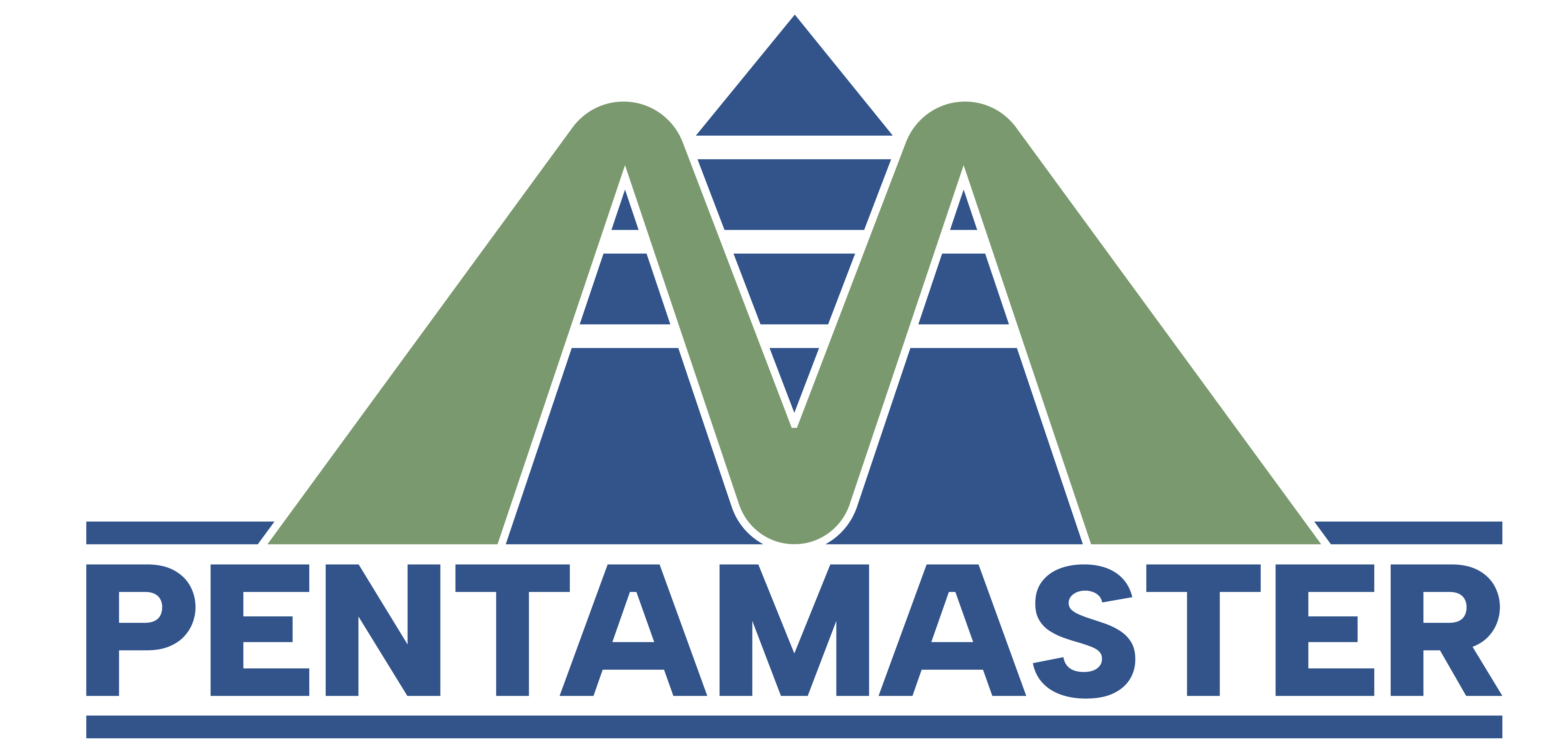 Logo Pentamaster Automation (Germany) GmbH