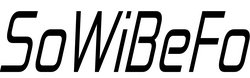 Logo der SoWiBeFo e.V.